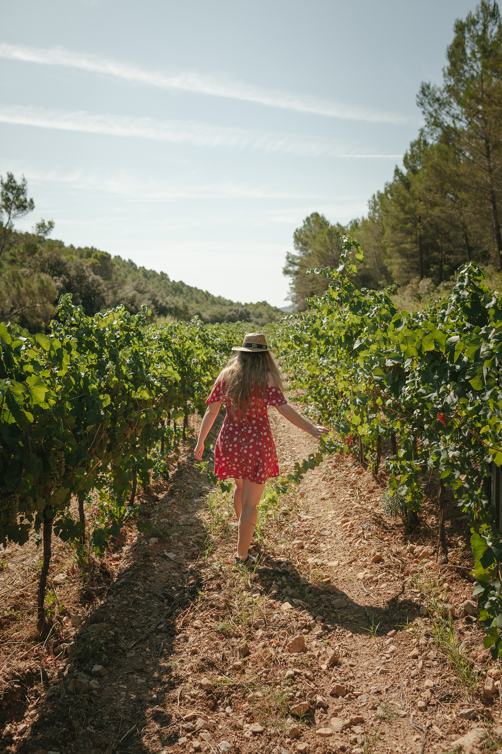 Terroir Essence (Catalan/Castellano)