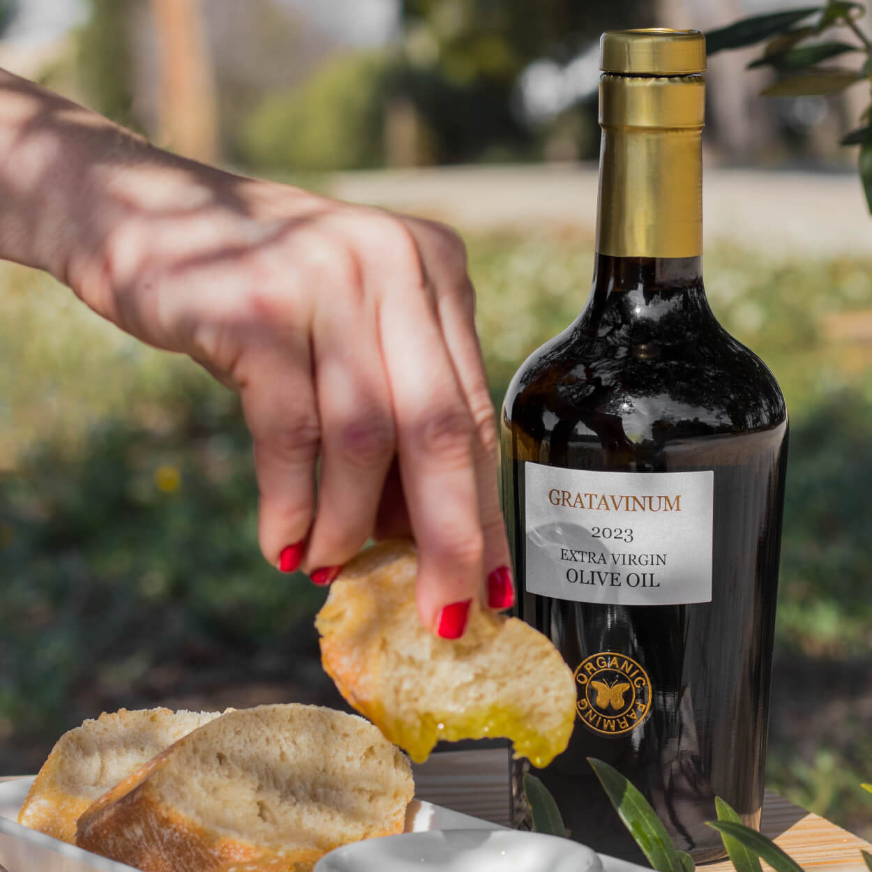 Aceite de oliva virgen extra ecológico
