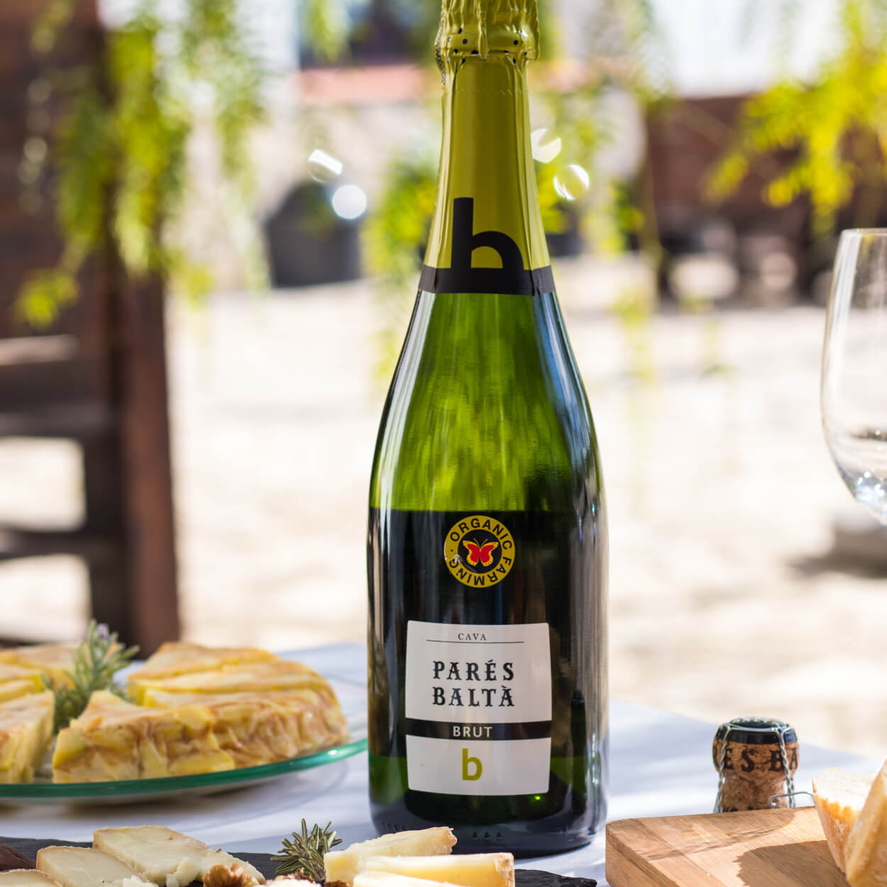 Cava Brut