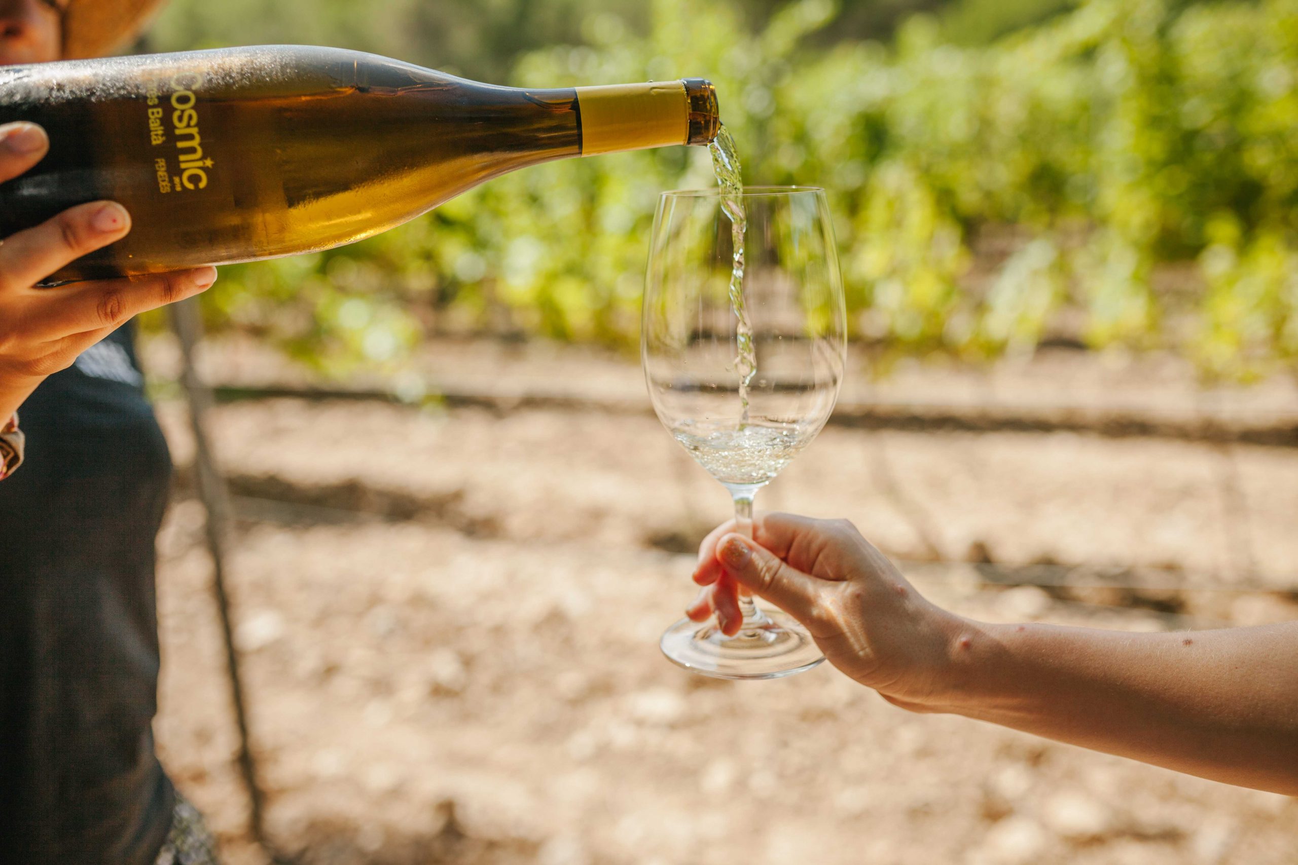 Vino ecológico Cosmic Parés Baltà