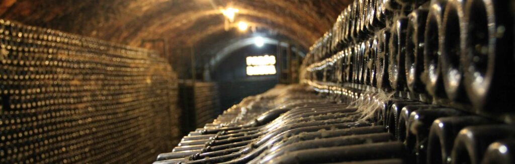 CAVA CELLAR