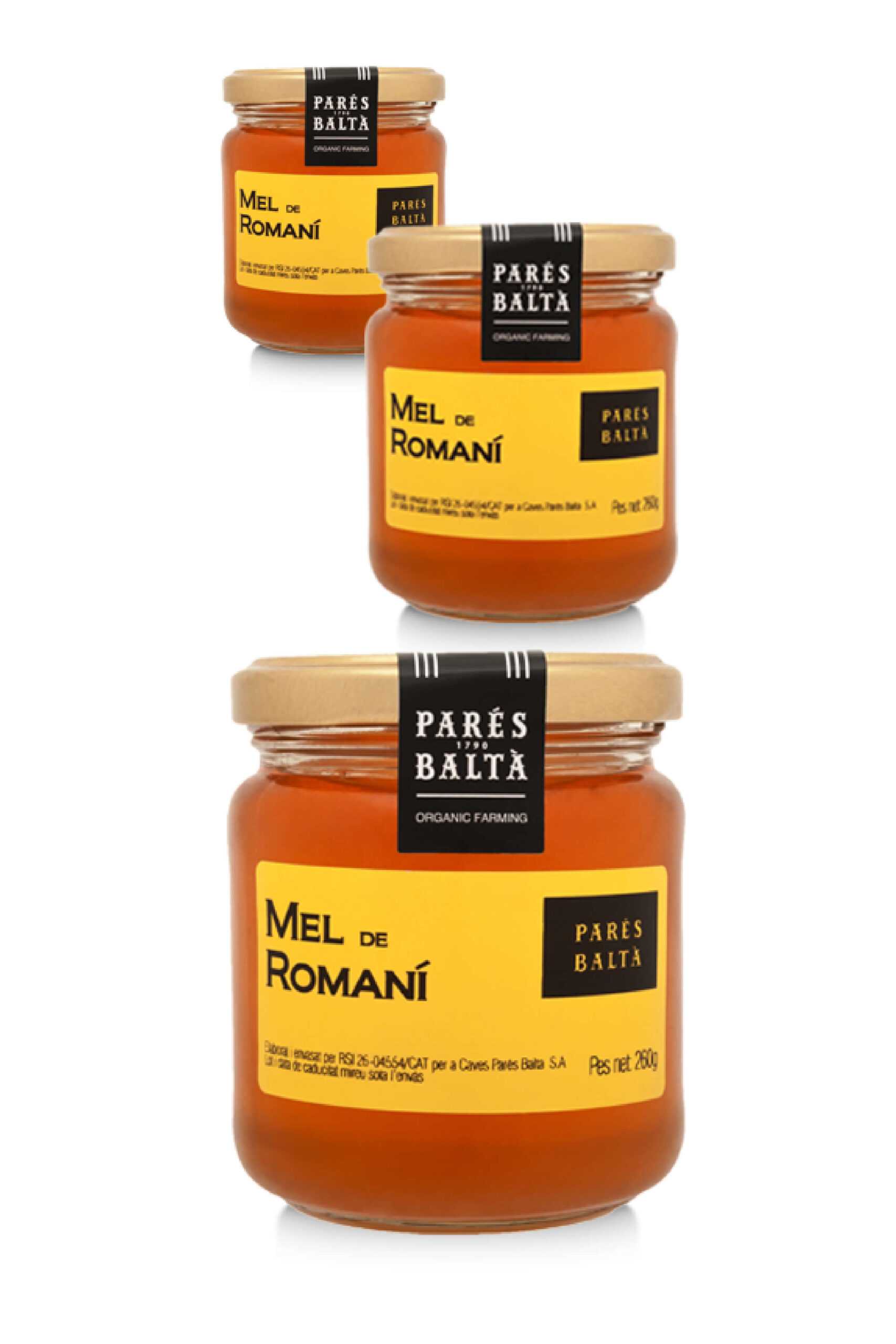 Miel Parés Baltà