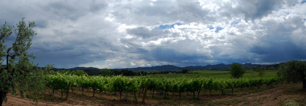 Penedés lluvioso