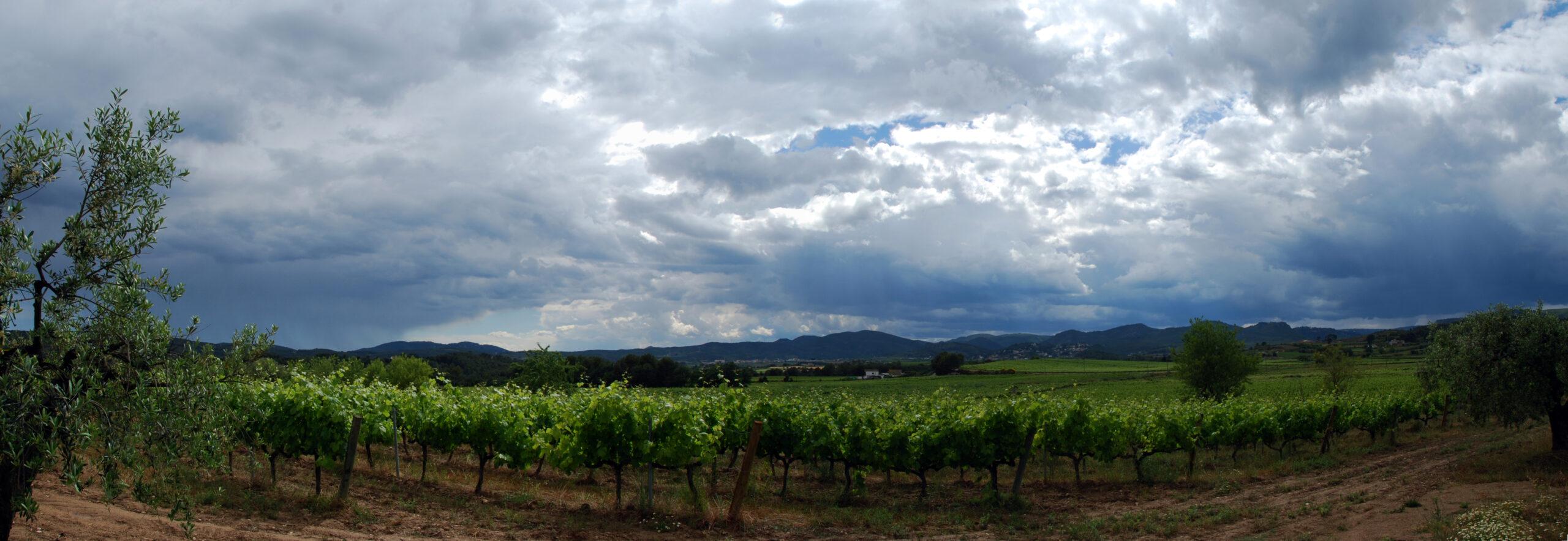 El Penedès plujós