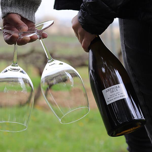 Amphora Gris