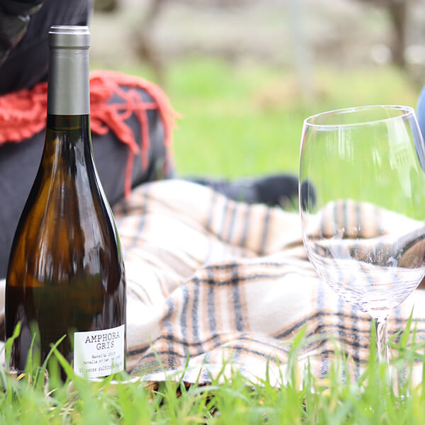 Amphora Gris