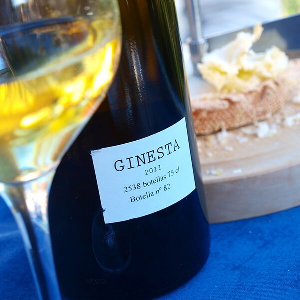 Ginesta